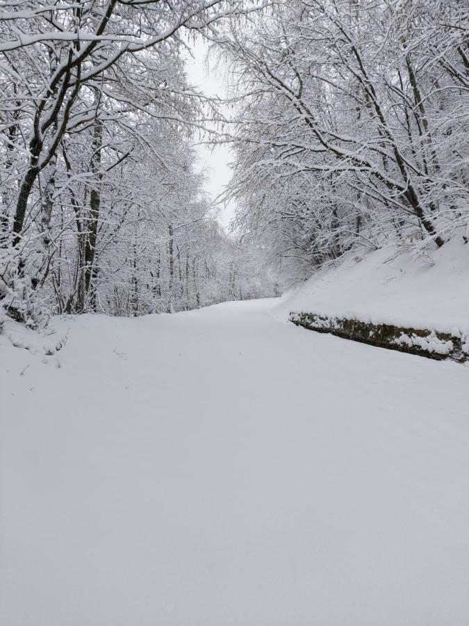 Gran Paradiso Alpette エクステリア 写真