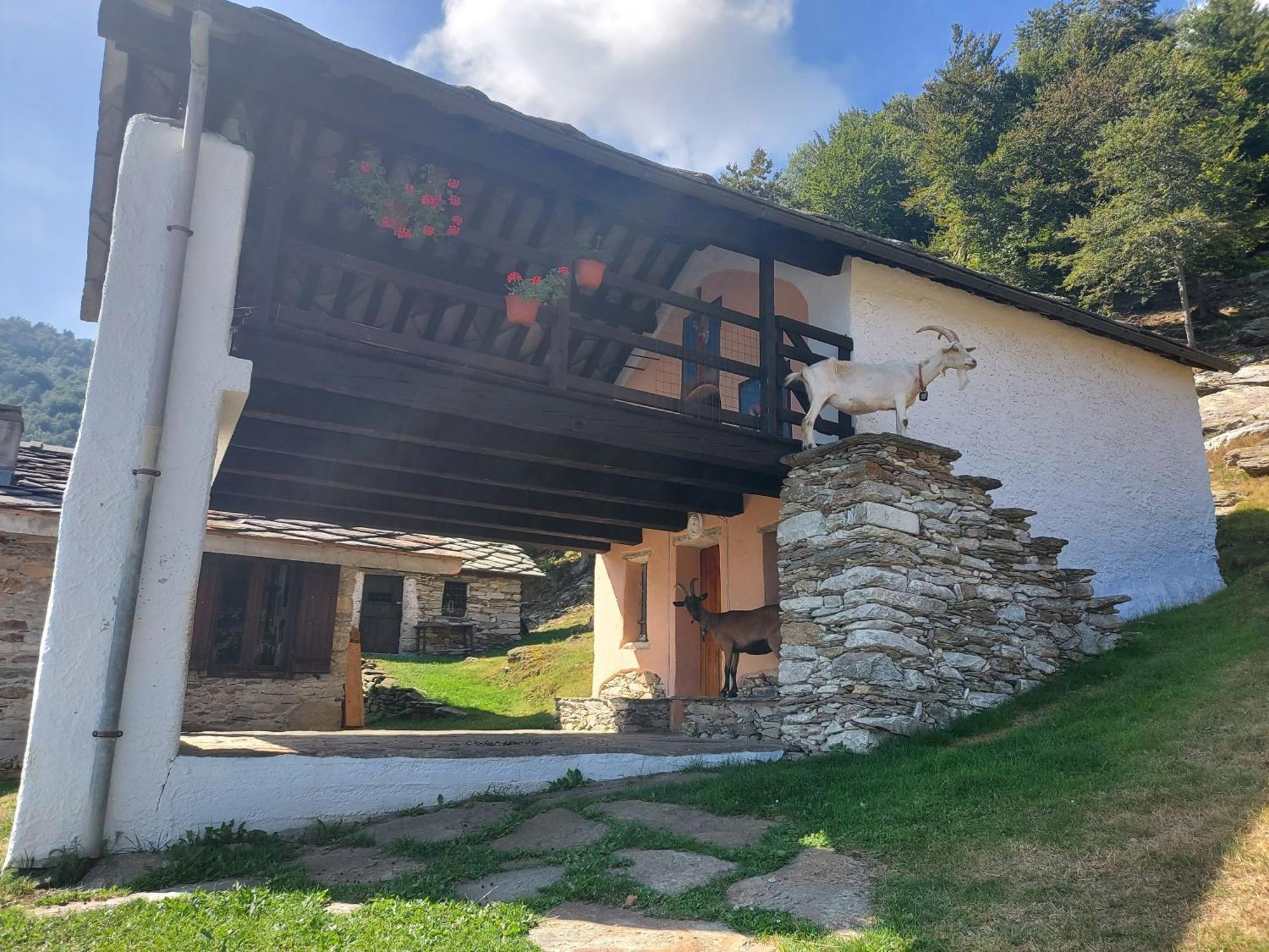 Gran Paradiso Alpette エクステリア 写真